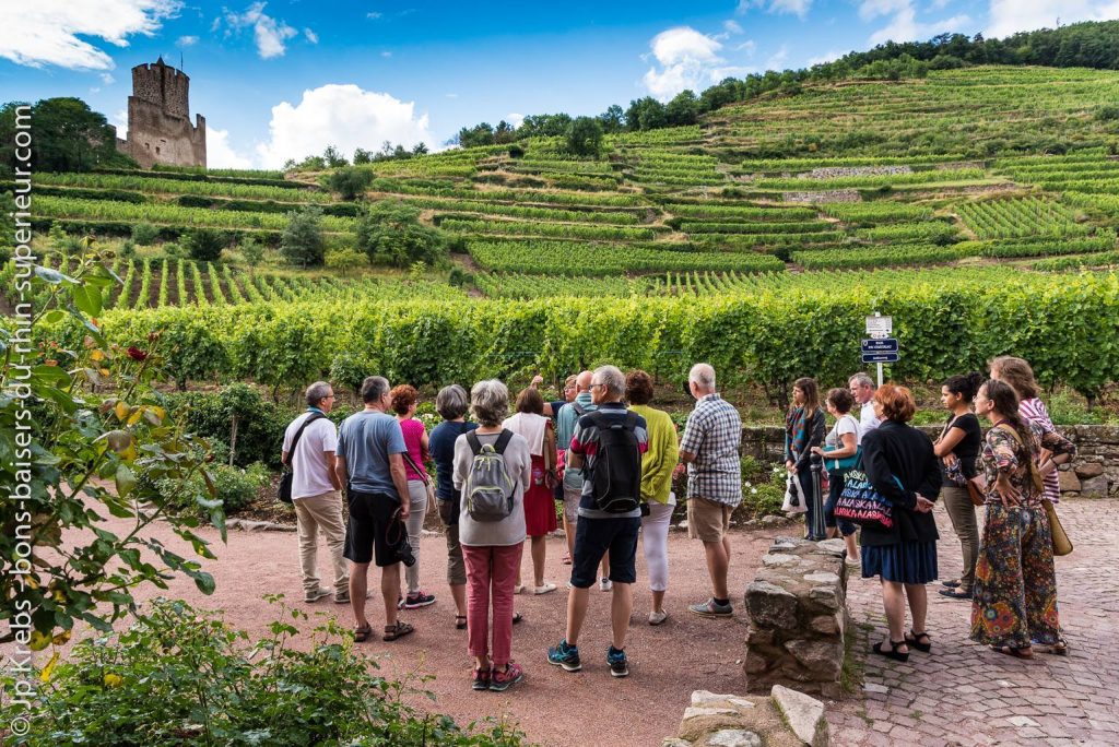 Almost everywhere along the Alsace wine route, festivals and events follow one another, to the great joy of all.