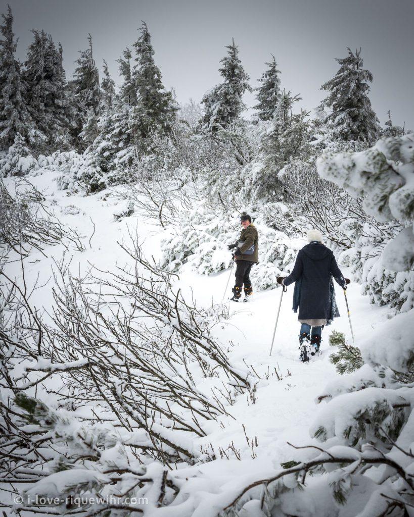 walk with snowshoes in the vosges mountains at 30 minutes driving from Riquewihr