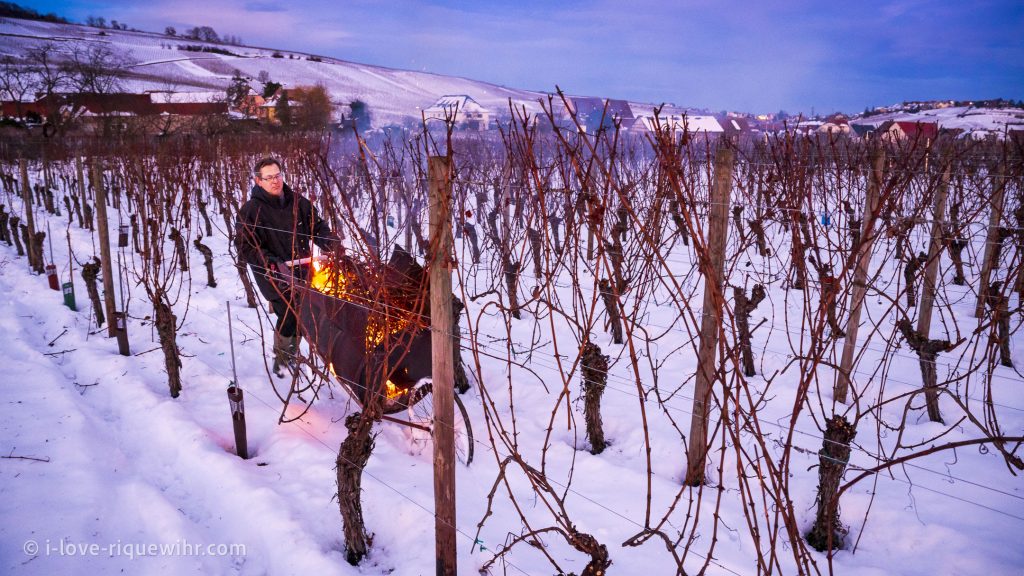 L'hiver à Riquewihr est le moment idéal pour les fans de vins