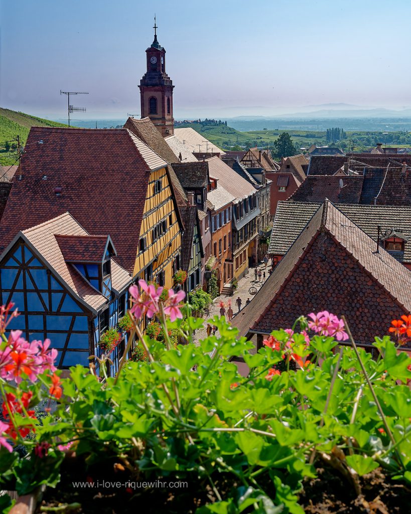 Séjournez à Riquewihr en Alsace dans nos appartements de vacances de charme