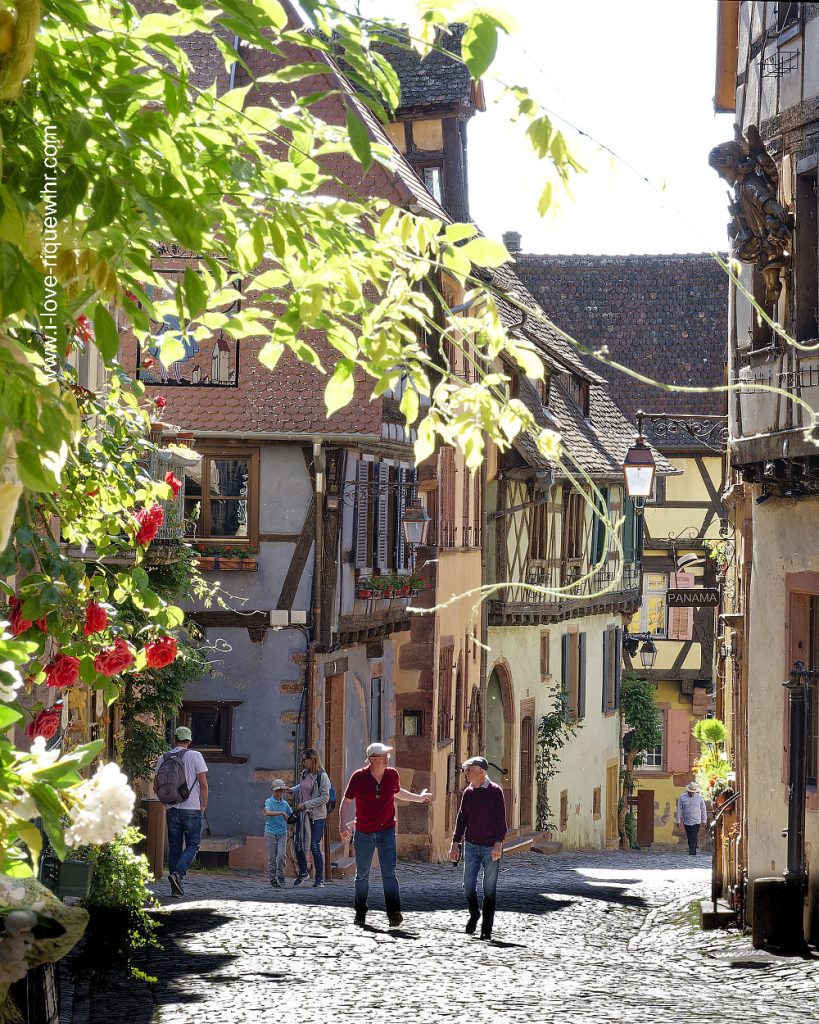 Riquewihr en Alsace un des plus beaux village de France