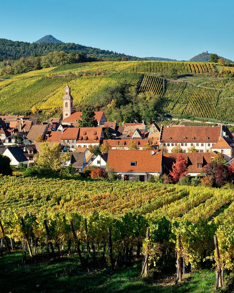 Riquewihr im Elsass, eine romantische mittelalterliche Stadt zwischen Berg- und Weingärten