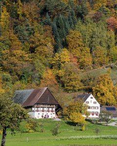 Visitez la Forêt Noire en séjournant dans nos gîtes de charme à Riquewihr